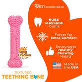 Nylabone - Puppy Chew Dental Bone