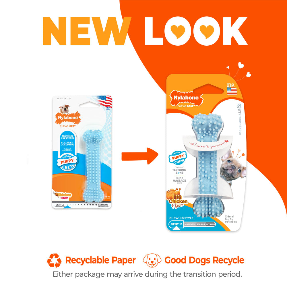 Nylabone - Puppy Chew Dental Bone