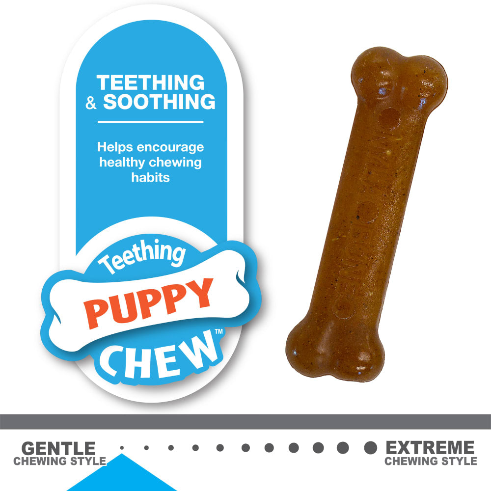 Nylabone - Puppy Chew Peanut Butter 2 pack