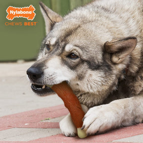 Nylabone - Dura Chew Meaty Rib Alternative Chew Toy Beef Flavor