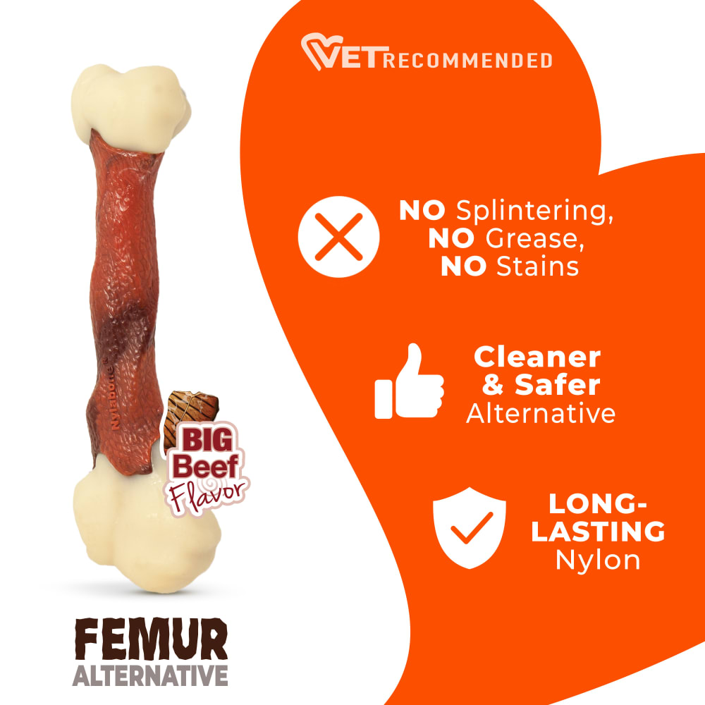 Nylabone - Dura Chew Femur Alternative	Alternative Chew Toy Beef Flavor