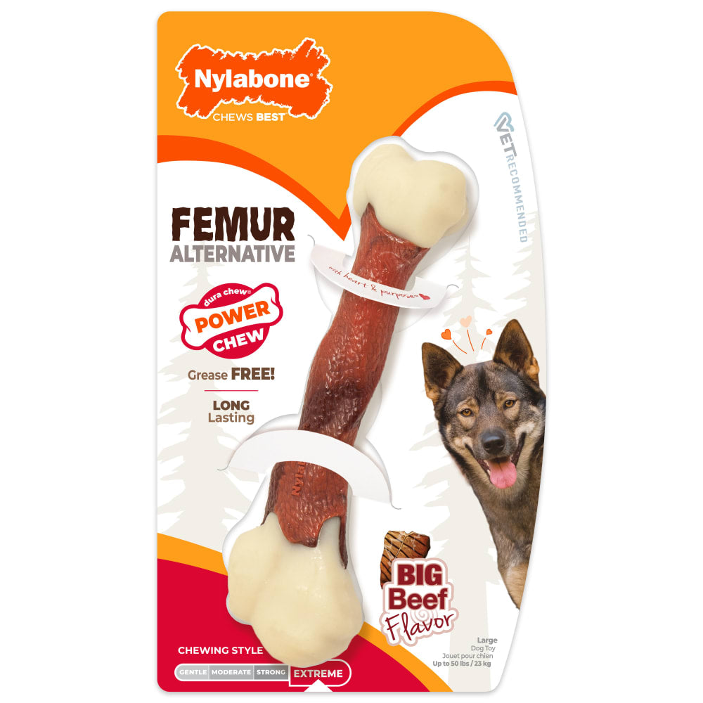 Nylabone - Dura Chew Femur Alternative	Alternative Chew Toy Beef Flavor