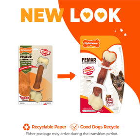 Nylabone - Dura Chew Femur Alternative	Alternative Chew Toy Beef Flavor