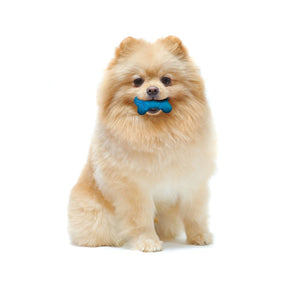 Nylabone - Flexible Bone Bumpy with Flavor Pockets