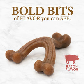 Nylabone - Gourmet Wishbone Bacon Regular Strong Chew