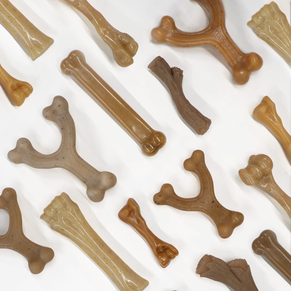 Nylabone - Gourmet Bone & Femur (Cheddar & Baby Back Ribs) Strong Chew