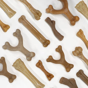 Nylabone - Gourmet Bone & Femur (Cheddar & Baby Back Ribs) Strong Chew