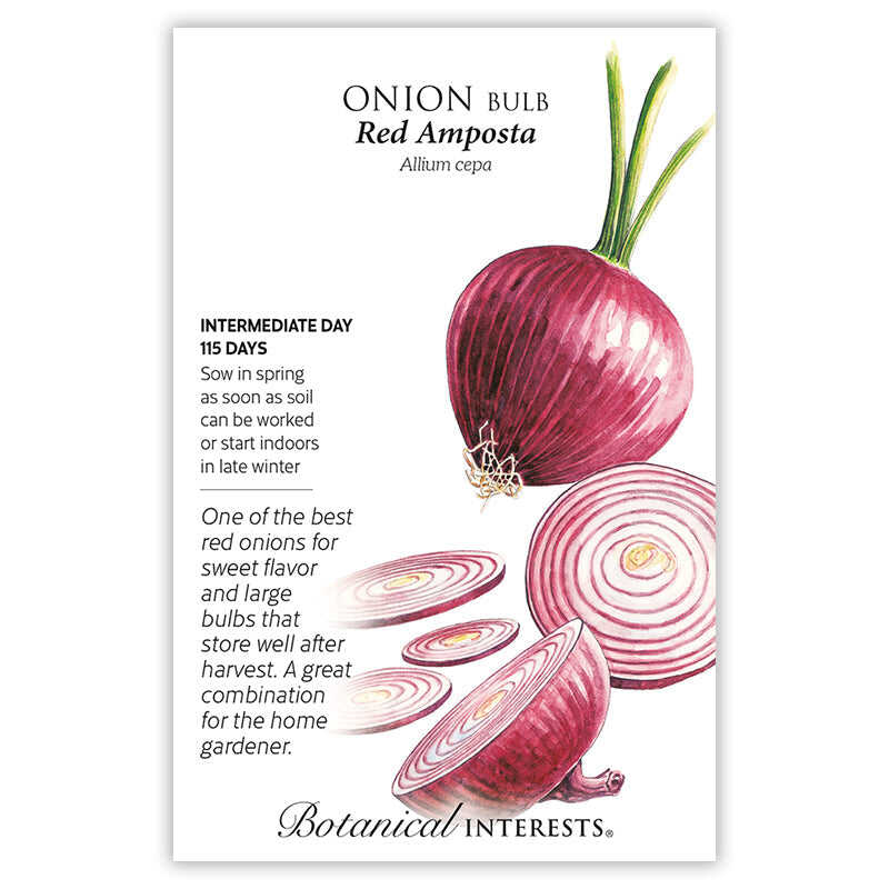 Botanical Interests, Inc. - Red Amposta Bulb Onion Seeds