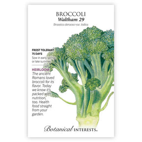 Broccoli (classic) Waltham Seeds