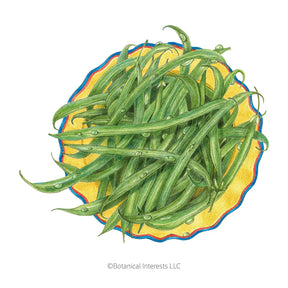 Botanical Interests, Inc. - French Filet Bush Bean Seeds