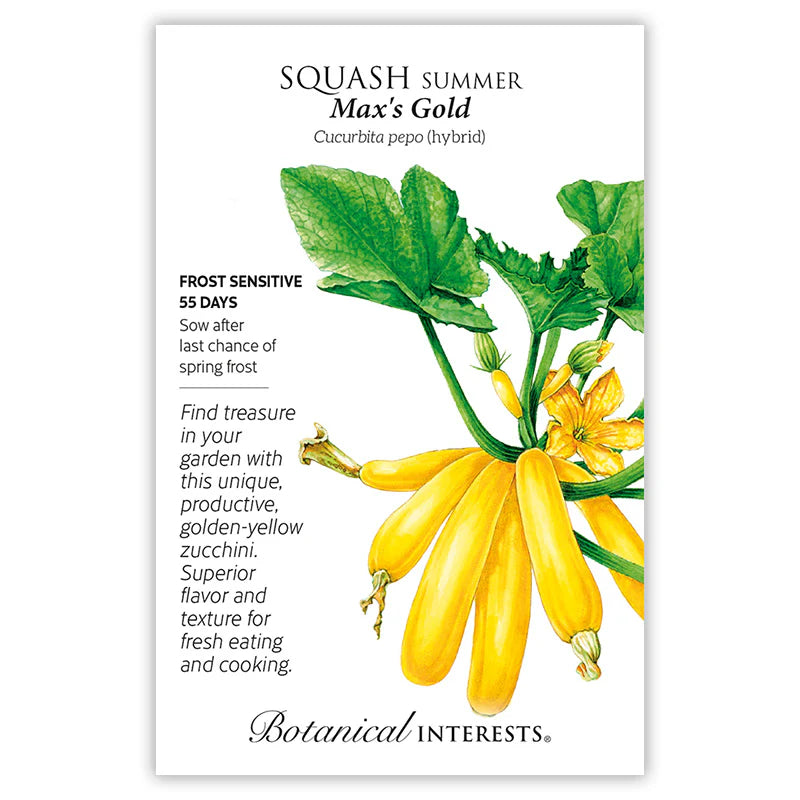 Botanical Interests, Inc. - Max's Gold Summer Squash Seeds