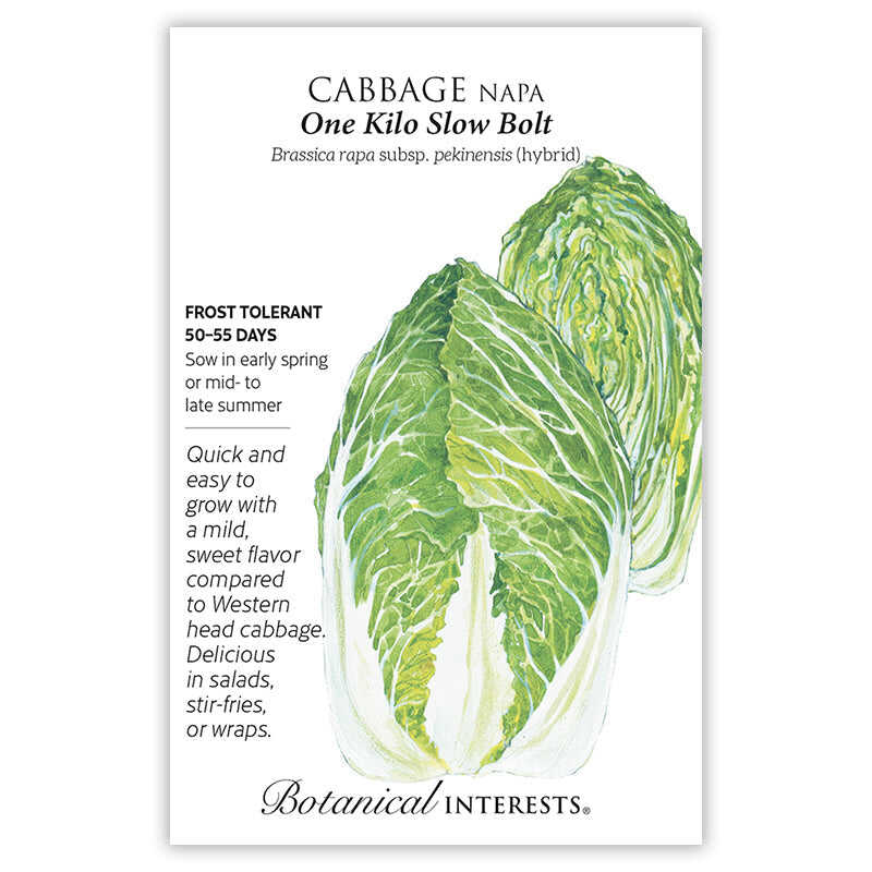 Botanical Interests, Inc. - One Kilo Slow Bolt Napa Cabbage Seeds