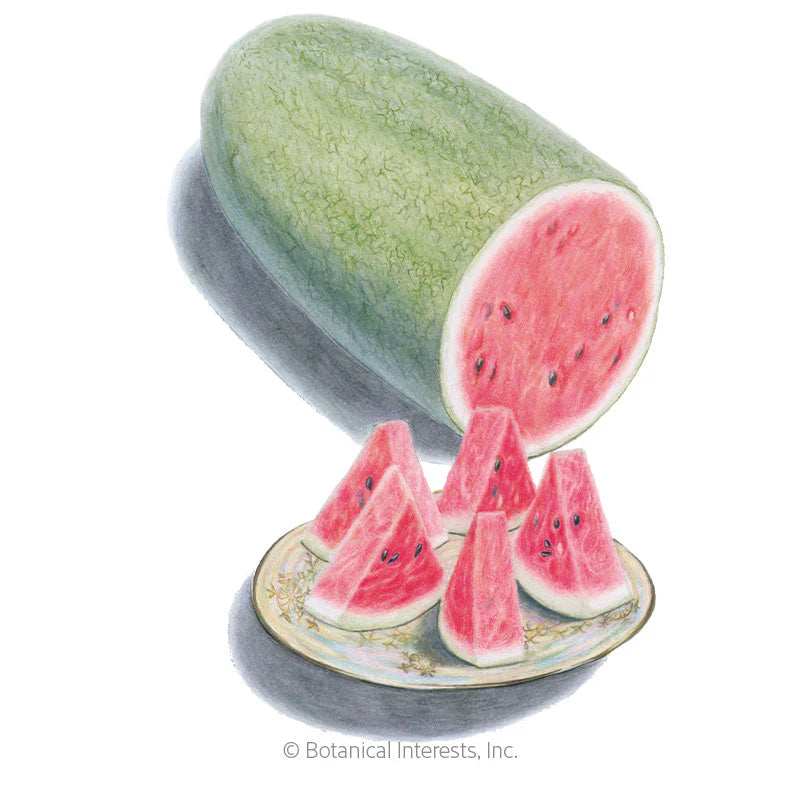 Botanical Interests, Inc. - Charleston Gray Watermelon Seeds