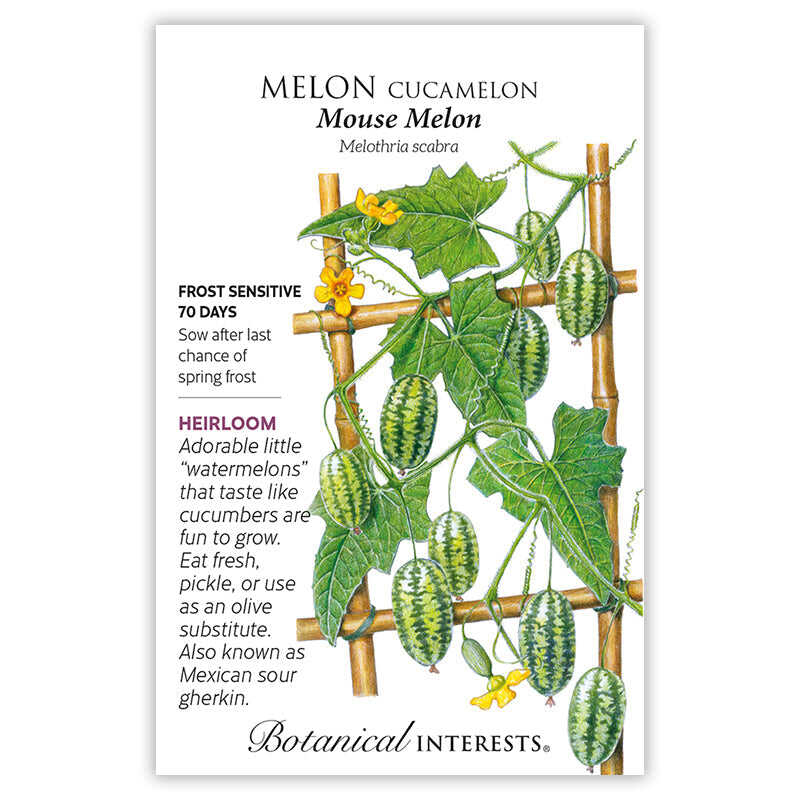 Botanical Interests, Inc. - Mouse Melon Cucamelon Melon Seeds