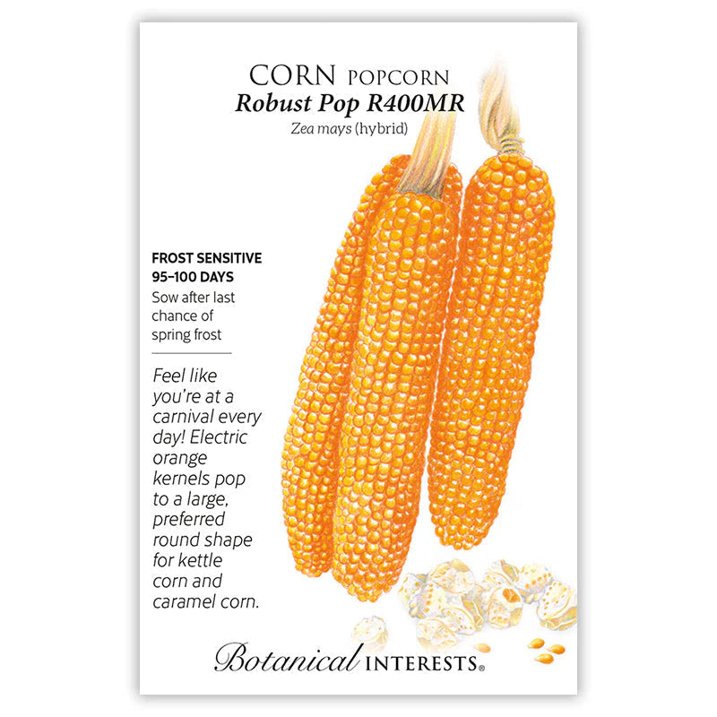 Botanical Interests, Inc. - Robust Pop R400MR Popcorn Corn Seeds