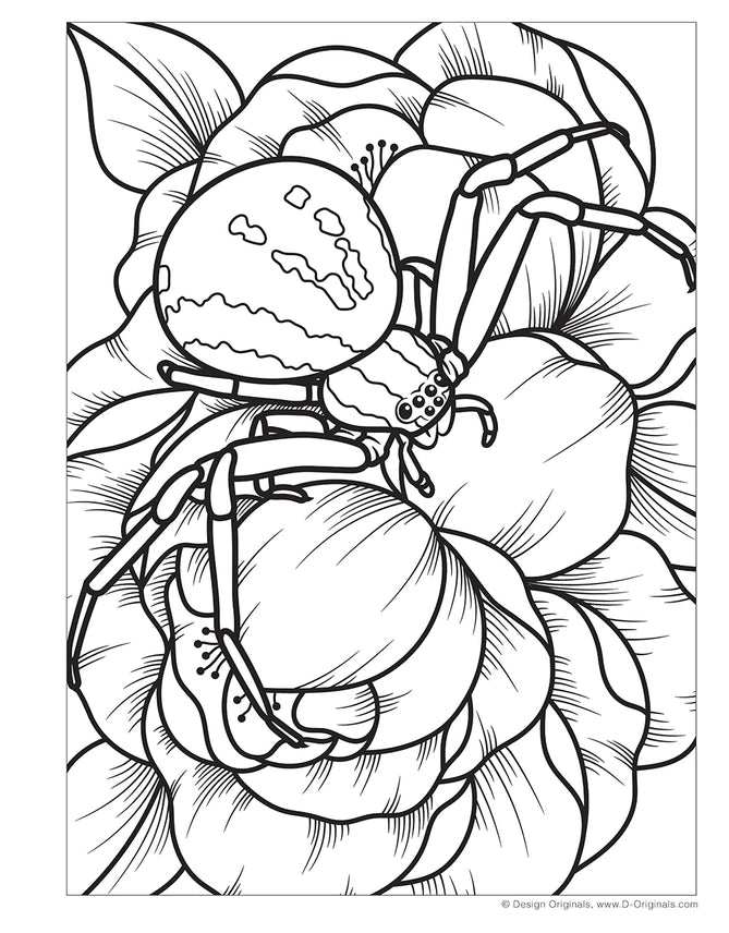 Coloring Book - Super Cool Bugs & Spiders