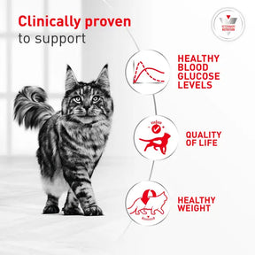 Royal Canin Veterinary Diet - Glycoadvanced Cat Dry Food