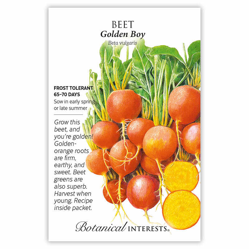 Botanical Interests, Inc. - Golden Boy Beet Seeds