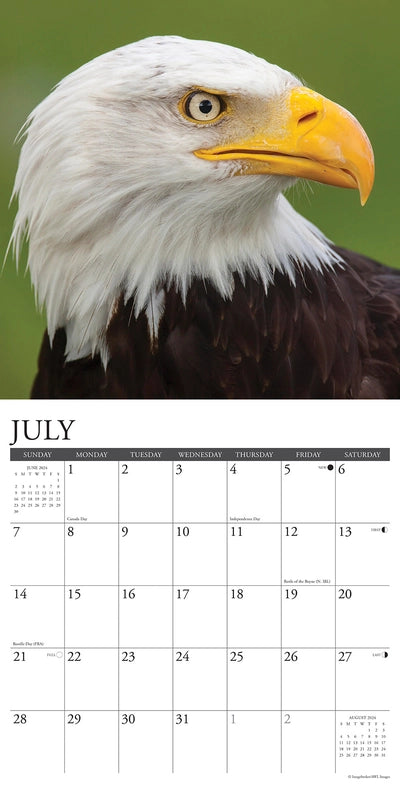2024 Eagles Calendar