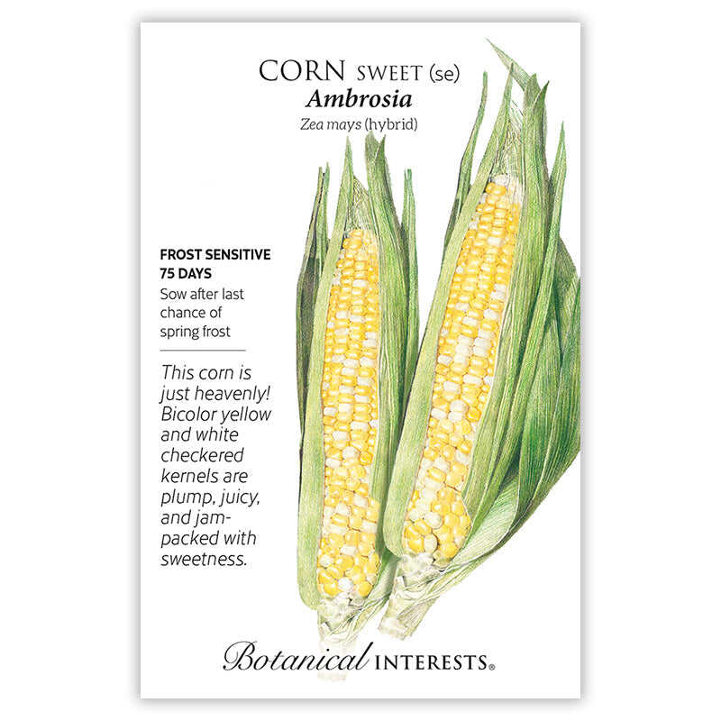 Botanical Interests, Inc. - Ambrosia Sweet Corn Seeds