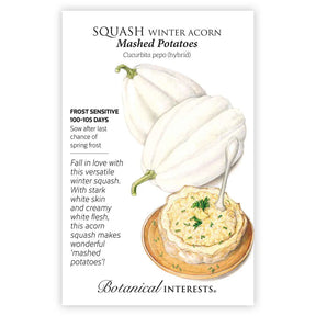 Botanical Interests, Inc. - Mashed Potatoes Acorn Winter Squash Seeds