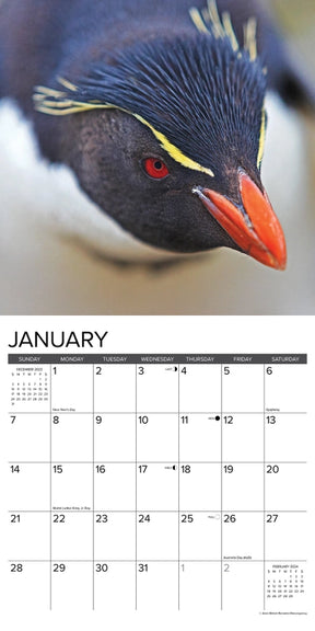 2024 Penguins Calendar