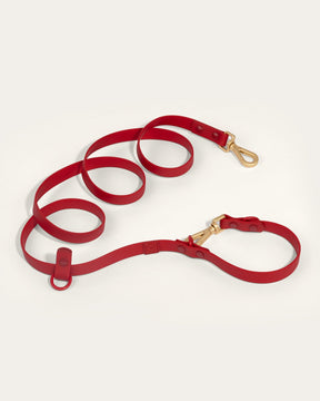 Furry Muse - Leash Wander Multiway