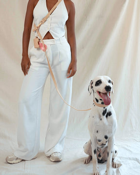 Furry Muse - Poop Bag Pouch Wander!