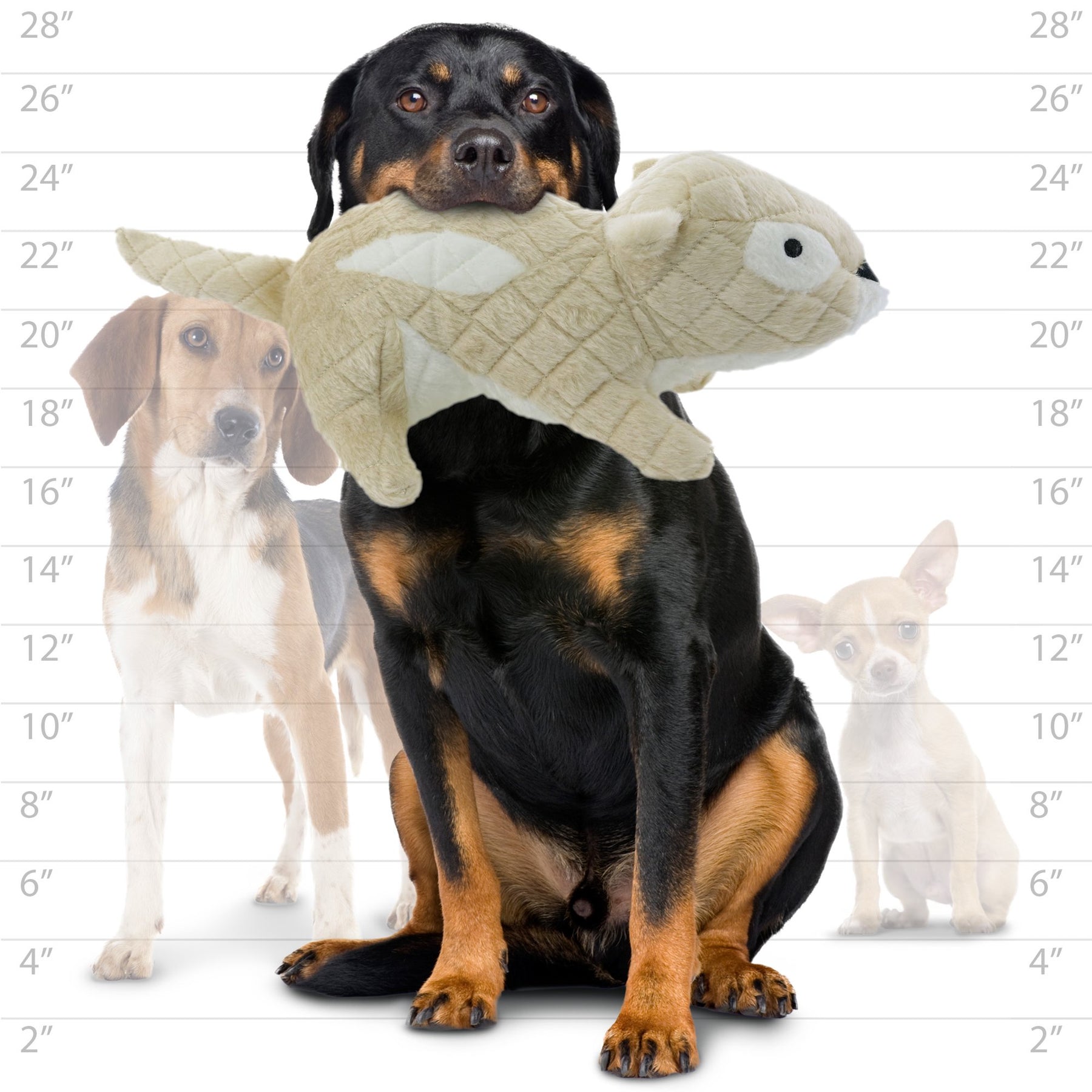 Tuffy Dog Toys - Mighty Massive Nature Chipmunk Plush Dog Toy