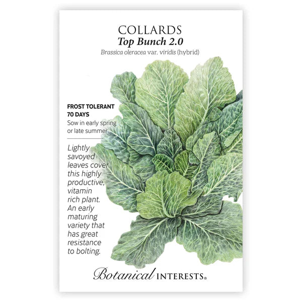 Collards Top Bunch 2.0 hybrid Seeds