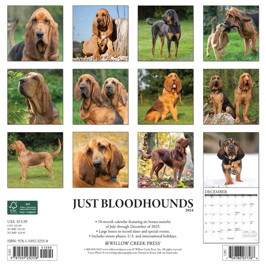 2024 Bloodhounds Calendar