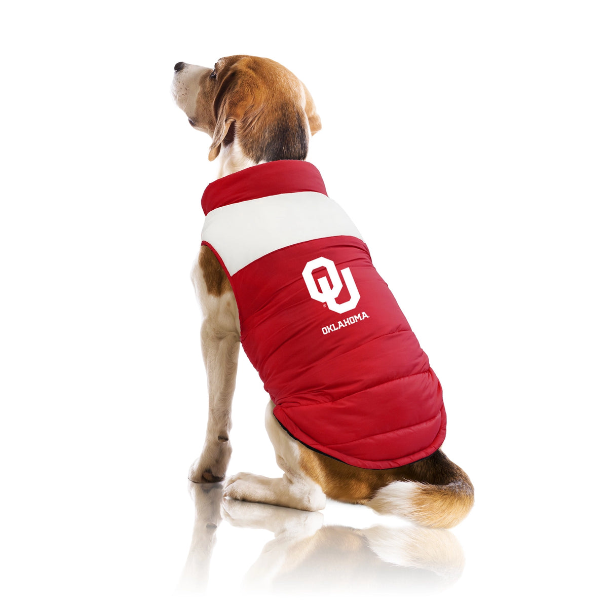 University of Oklahoma Pet Parka
