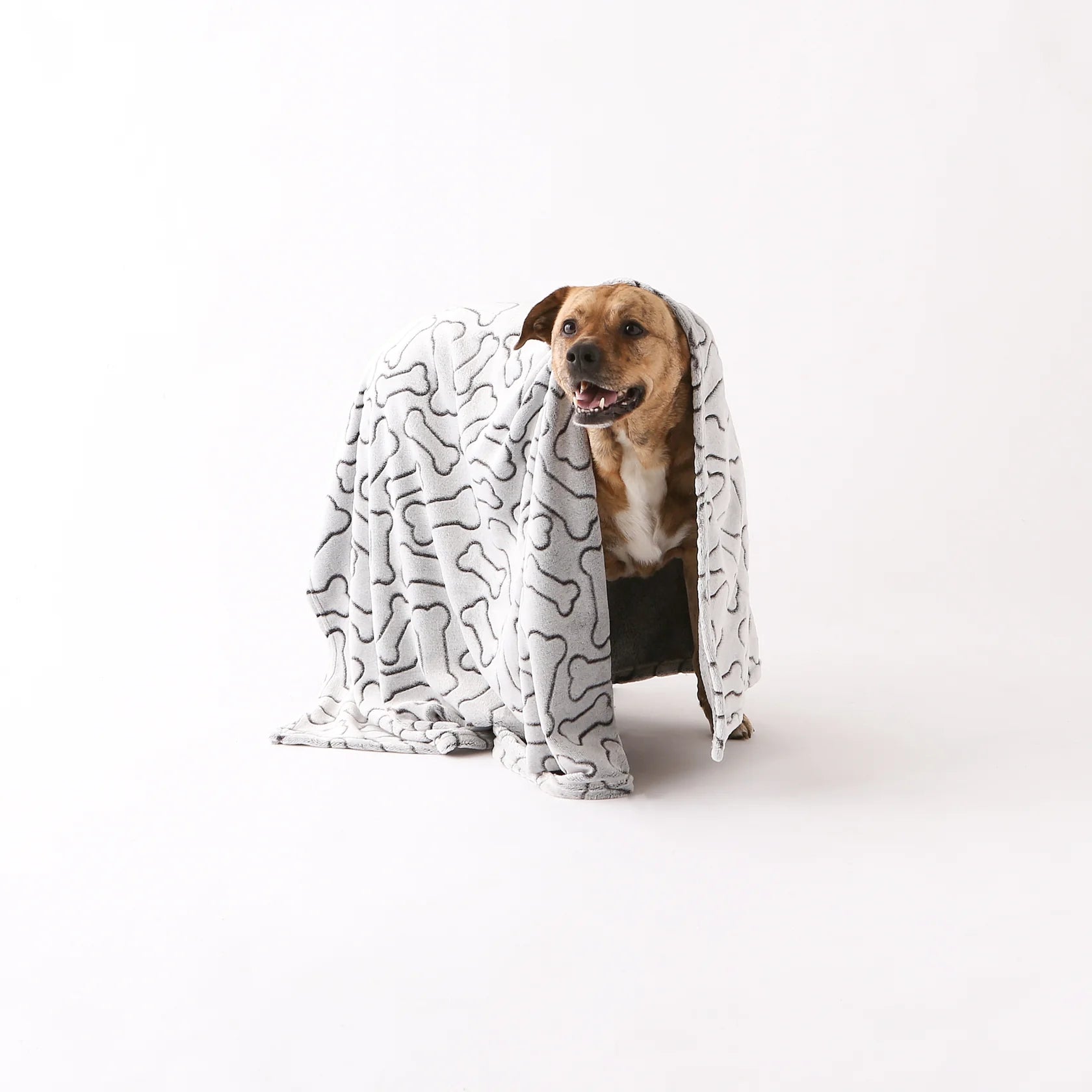 Bone Dry - Embossed Bone Print Blanket for Pets