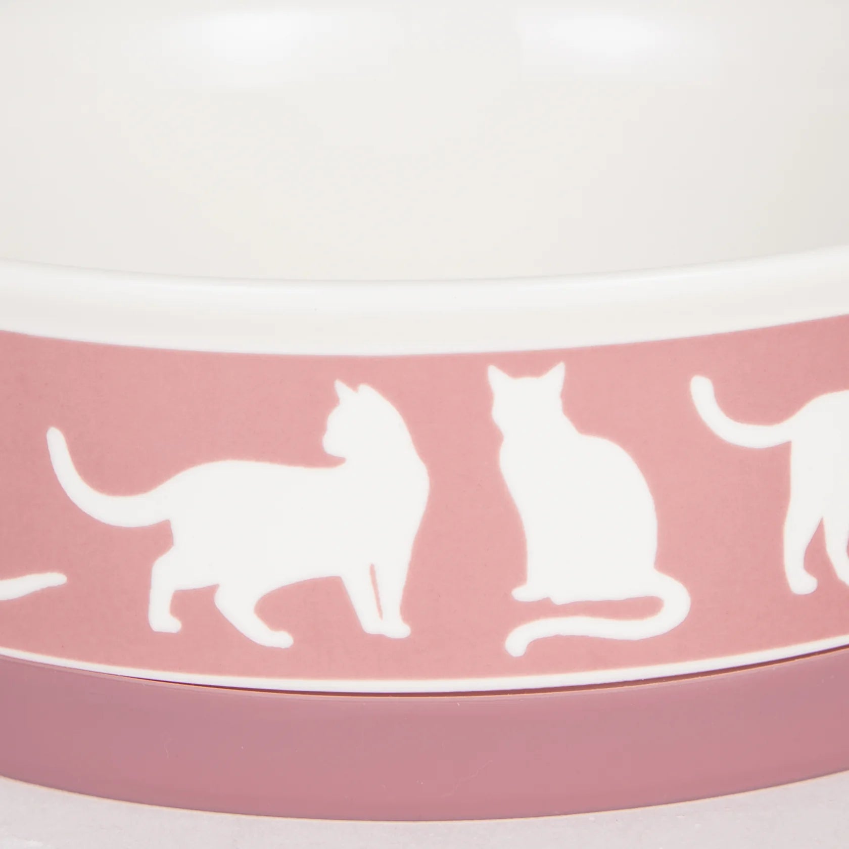 Bone Dry - Pet Bowl Cats Meow