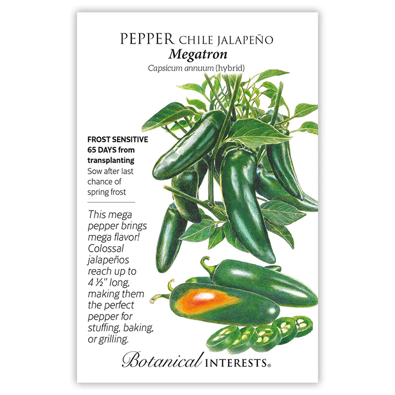 Pepper Chile Jalapeno Megatron Hybrid Seeds