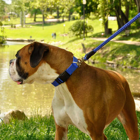 Coastal - Nylon Collar Adjustable 1 1/2"
