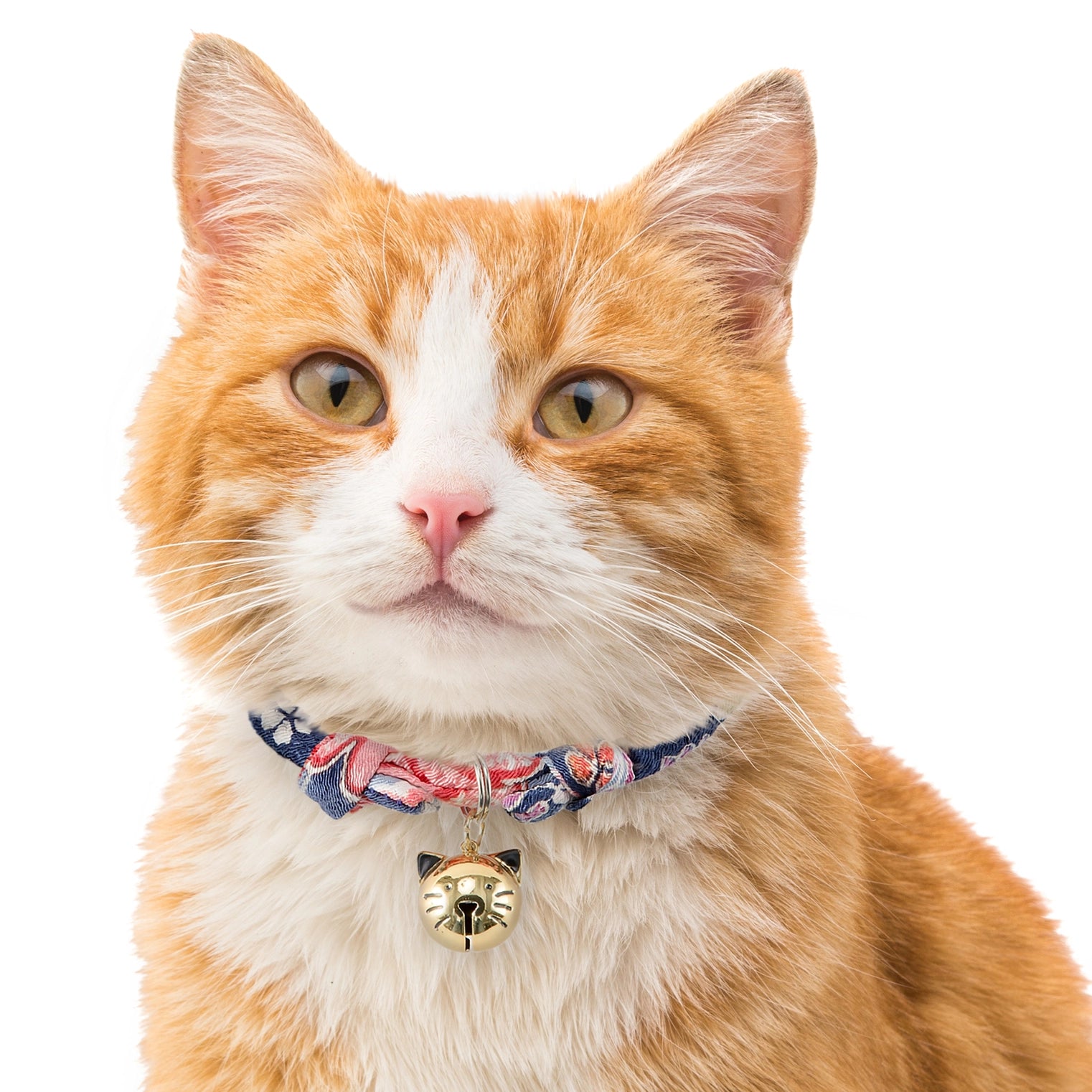 Cat Collar Chirimen Fireworks