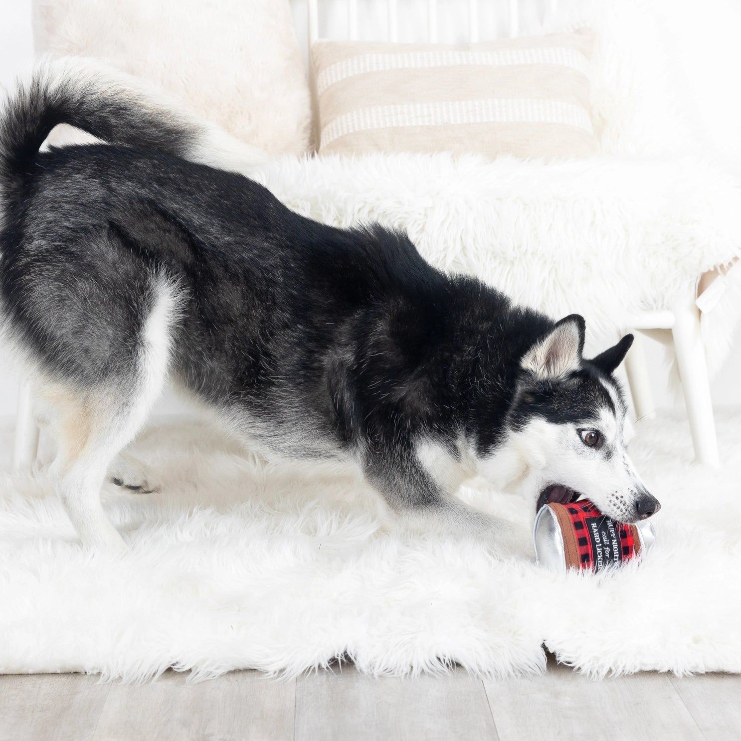 Dog Playing Ruff Wagsdale - Dog Toy Ruff Nights