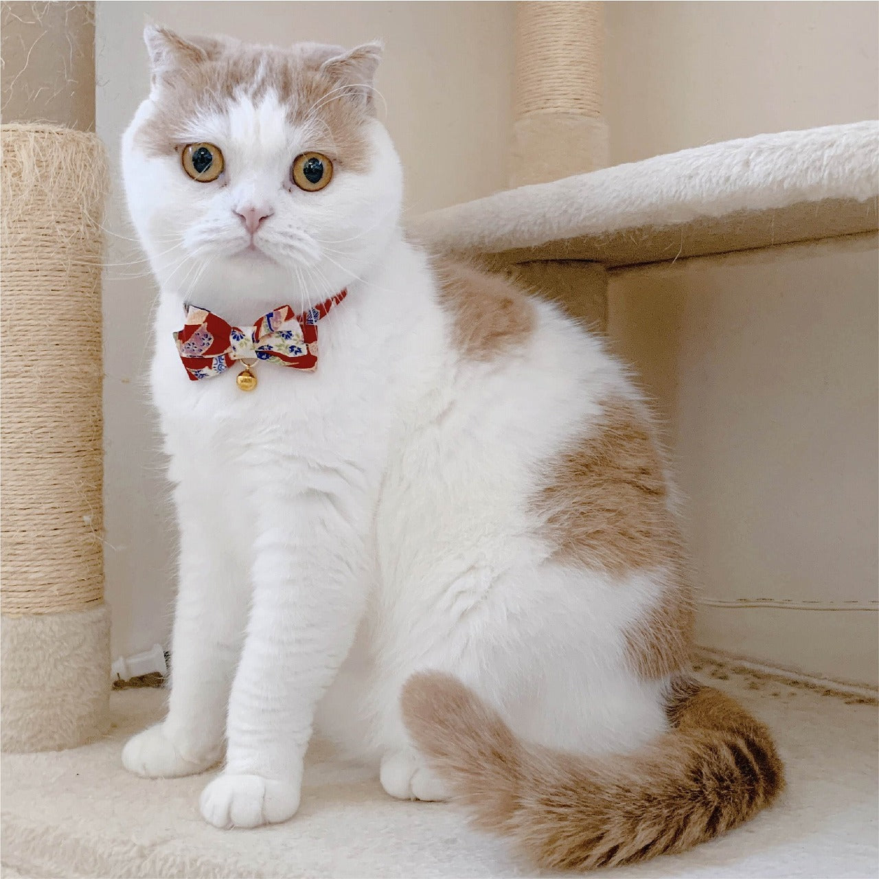 Cat Collar Chirimen Kimono Bow Tie