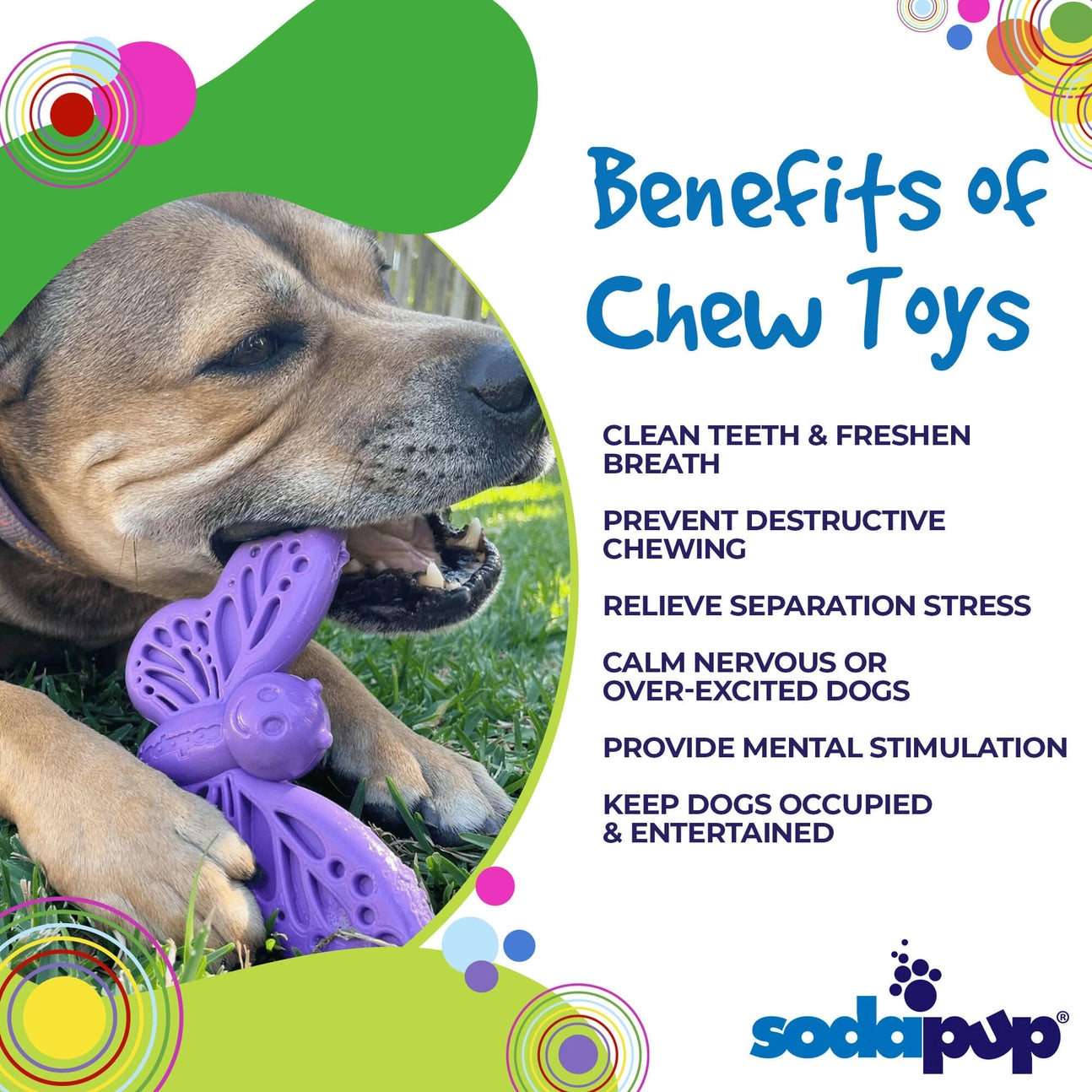 Butterfly Enrichment & Chew Dog Toy
