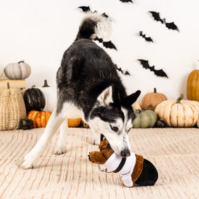 Petshop by Fringe Studio - Dog Toy Love at First Fright