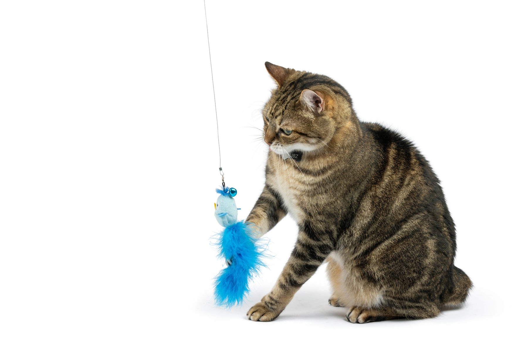 Huxley & Kent - Cat Toy Birdy Feather Teaser