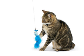Huxley & Kent - Cat Toy Birdy Feather Teaser