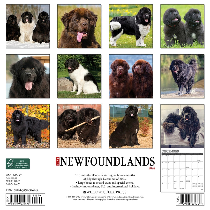 2024 Newfoundlands Calendar