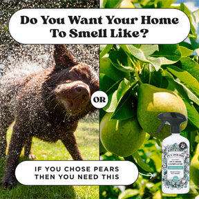 Pet-Pourri Pawsitively Fresh Air + Fabric Odor Refresher
