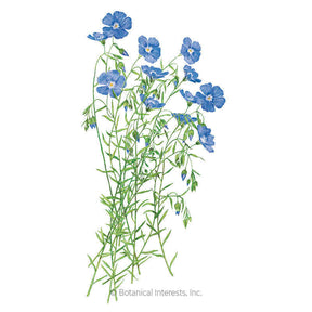 Botanical Interests, Inc. - Flax Blue & Breezy Seeds