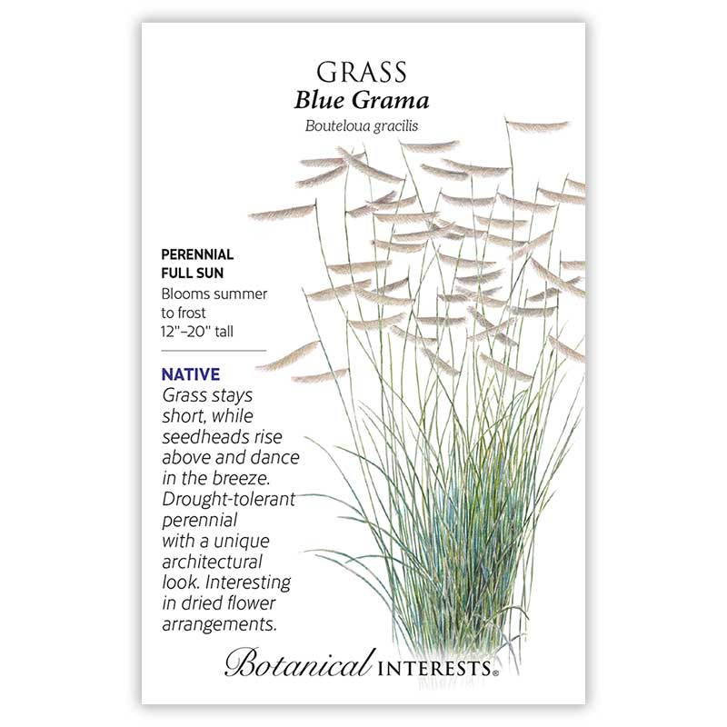 Botanical Interests, Inc. - Blue Grama Grass Seeds