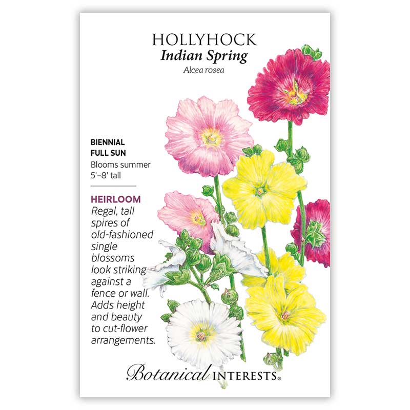 Botanical Interests, Inc. - Hollyhock Indian Spring Seeds