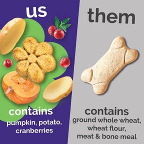 Fruitables - Pumpkin & Cranberry Crunchy Dog Treats