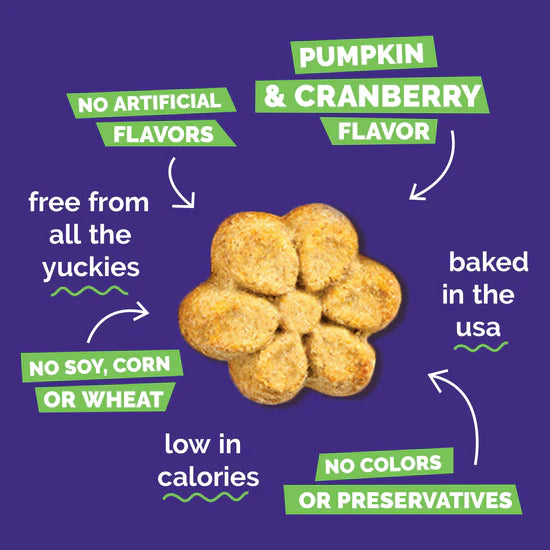 Fruitables - Pumpkin & Cranberry Crunchy Dog Treats